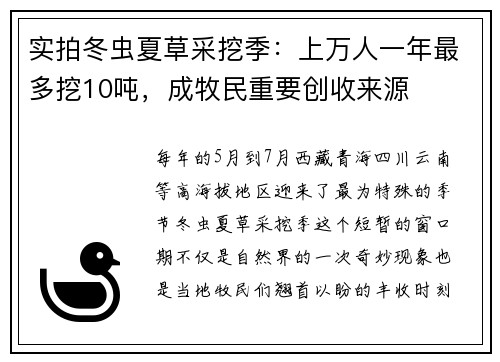 实拍冬虫夏草采挖季：上万人一年最多挖10吨，成牧民重要创收来源