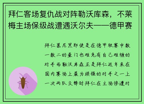 拜仁客场复仇战对阵勒沃库森，不莱梅主场保级战遭遇沃尔夫——德甲赛季关键之战